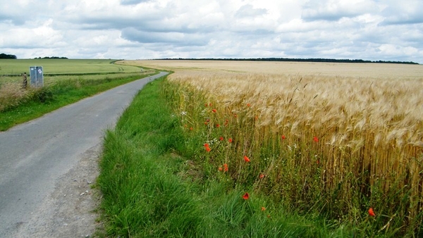 marche Adeps wandeling Falaen Wallonie