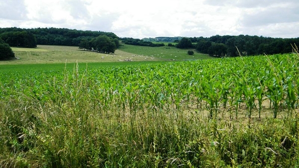 marche Adeps wandeling Falaen Wallonie