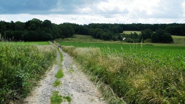 marche Adeps wandeling Falaen Wallonie
