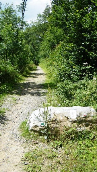 marche Adeps wandeling Falaen Wallonie