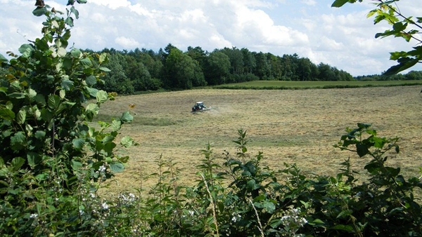 marche Adeps wandeling Falaen Wallonie