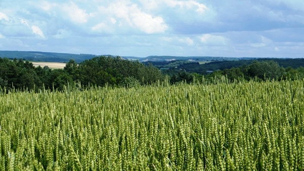 marche Adeps wandeling Falaen Wallonie