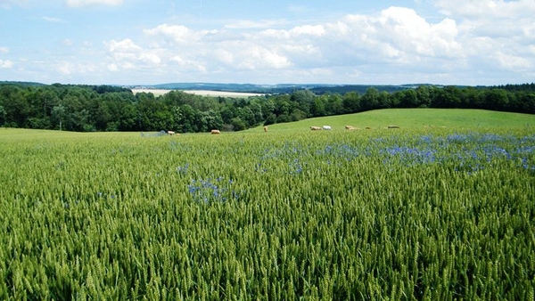 marche Adeps wandeling Falaen Wallonie