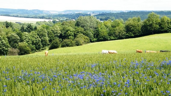 marche Adeps wandeling Falaen Wallonie