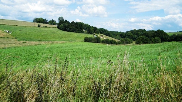 marche Adeps wandeling Falaen Wallonie