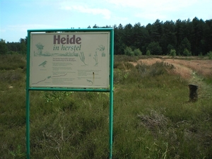 Vlaanderen ; de herstellende heide regio