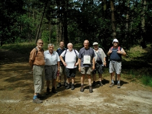 in de naaldbossen