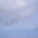 2012_06_23 Fllorennes Airshow 382