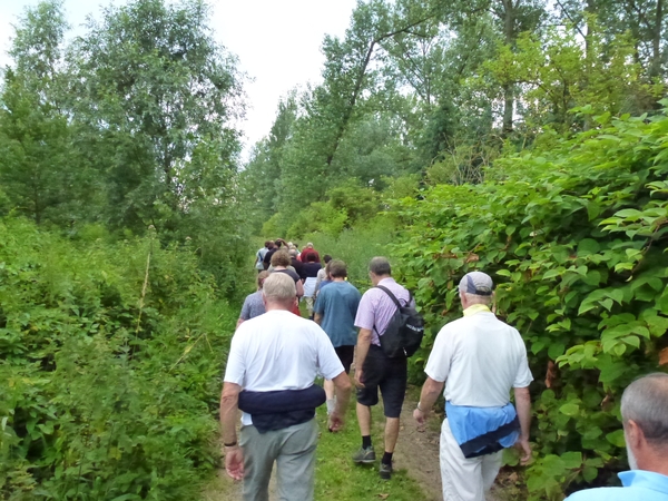 2012-07-03 Hofstade 005