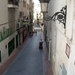 oud benidorm (9)