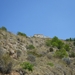 zicht vanop de berg (4)