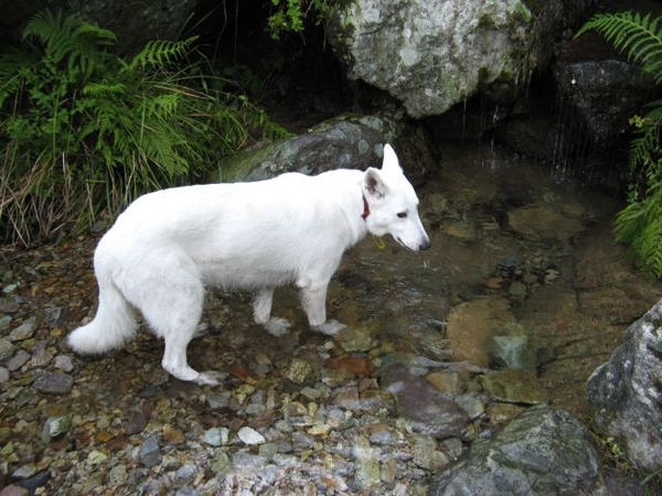 20070615 CorsicaGR20 0139