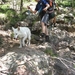 20070616 CorsicaGR20 0301