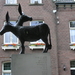 P7040003