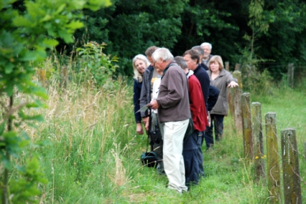 DSC_0981_7388_edited-1