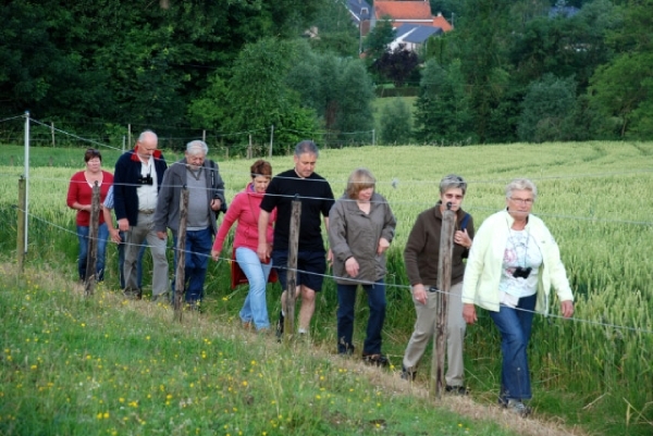 DSC_0987_7394_edited-1