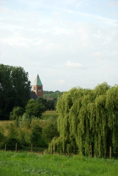 DSC_0999_7406_edited-1