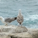 sized_P1110249