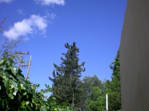 060