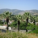 DSCN1139