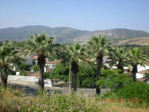 DSCN1139