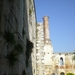 DSCN1137