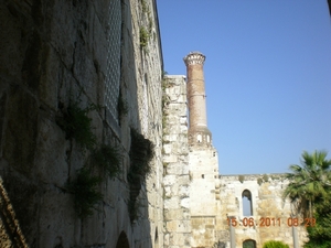 DSCN1137