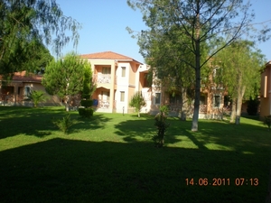 DSCN1131