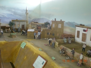 DSCN1149
