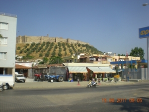 DSCN1142
