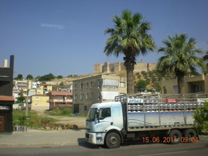 DSCN1141
