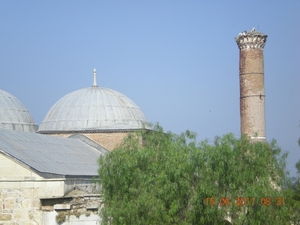 DSCN1140