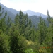 DSCN1164