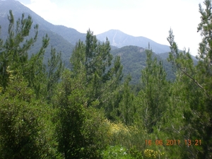 DSCN1164