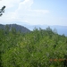 DSCN1163