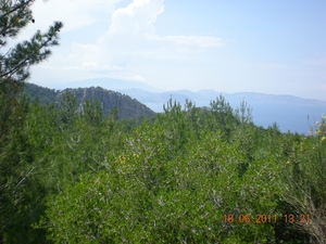 DSCN1163