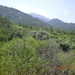 DSCN1154