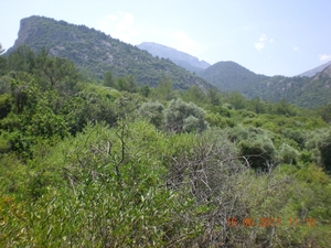 DSCN1154