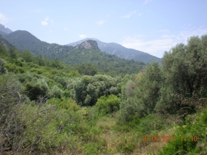 DSCN1155