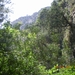 DSCN1156