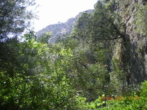 DSCN1156
