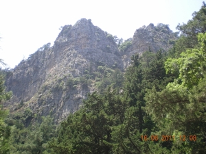 DSCN1157