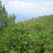 DSCN1171