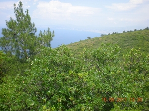 DSCN1171