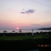 DSCN1177