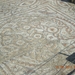 DSCN1190