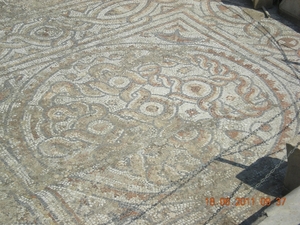 DSCN1190