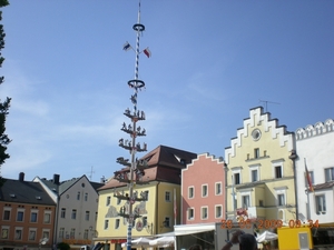 DSCN0453