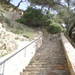 DSCN0817