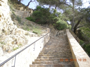DSCN0817